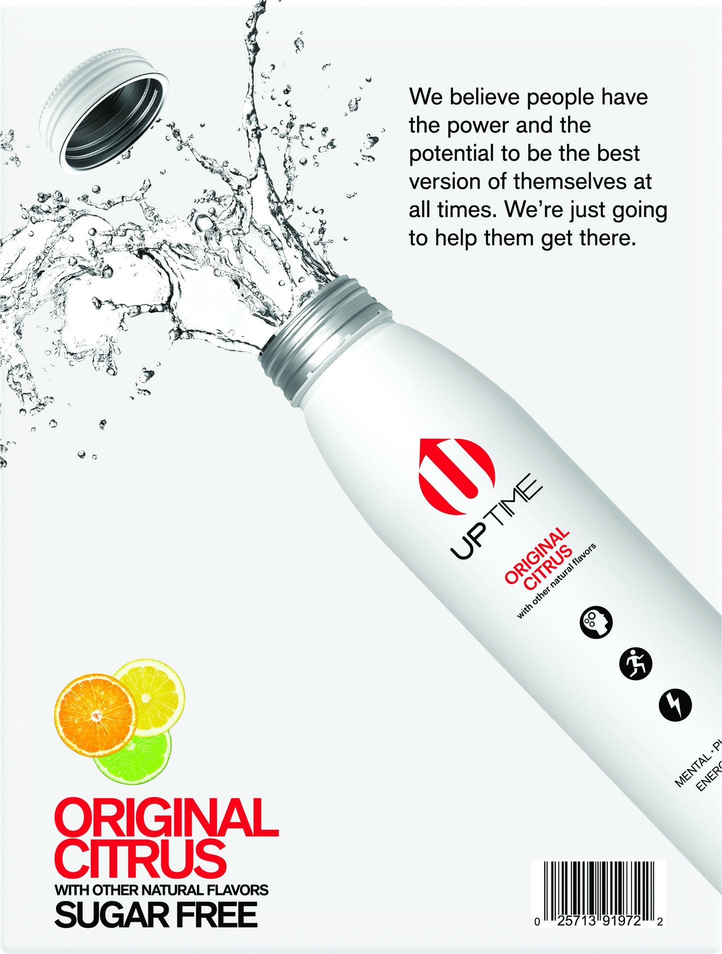 Original Citrus Sugar Free 12 Pack