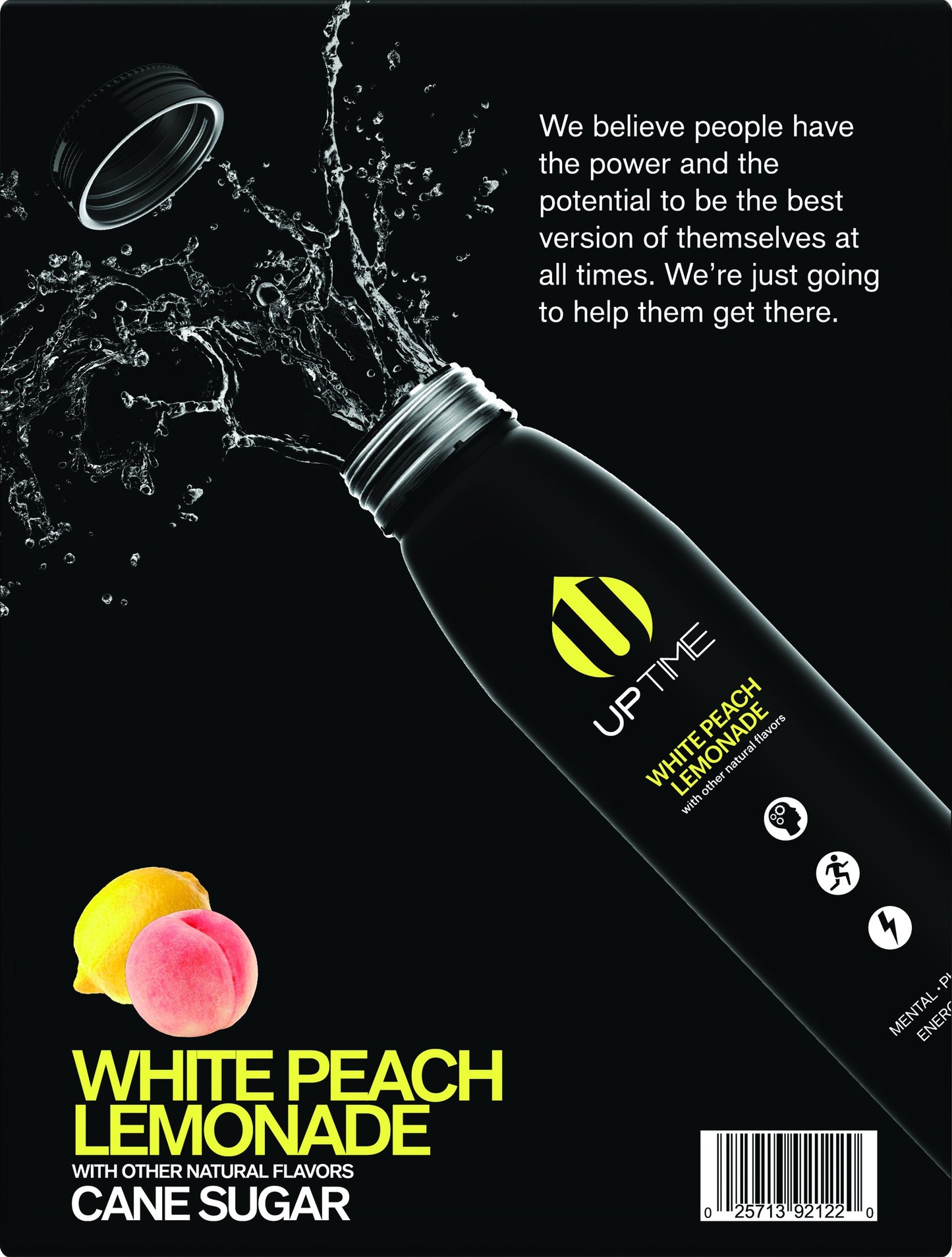 White Peach Lemonade Cane Sugar 12 Pack